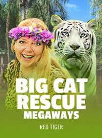 Cara Main Big Cat Rescue Megaways di HP Android dengan Benar banner